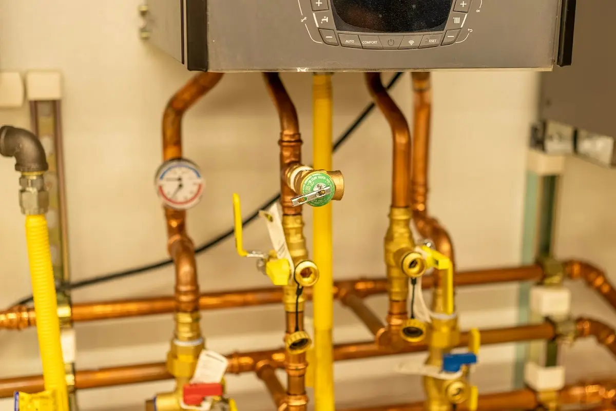 Licensed technician providing Emergency Plumbing for a homeowner in Rives